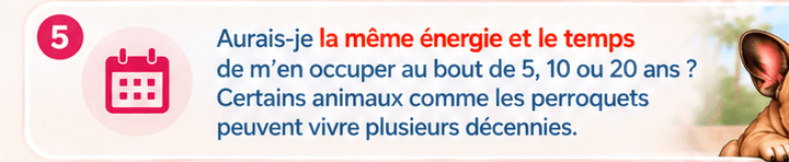Aurais-je la même énergie et le temps de m'en occuper au bout de 5, 10 ou 20 ans ? Certains animaux comme les perroquets peuvent vivre plusieurs décennies.